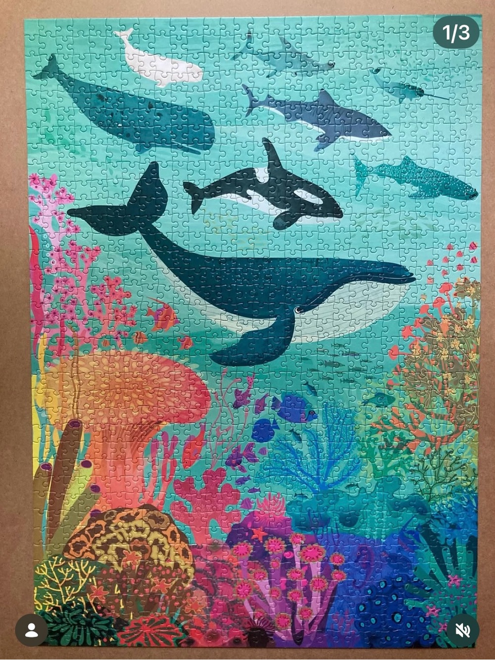 Elena Essex Ocean Deep 1000-Piece Puzzle - Picture 2 of 3